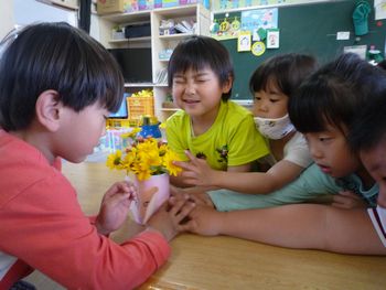 子どもの様子　春菊の花