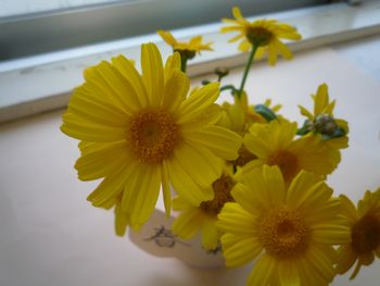 春菊の花