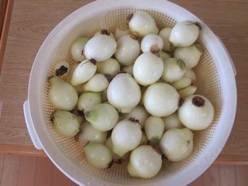 玉ねぎ