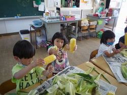 ゆり組の様子
