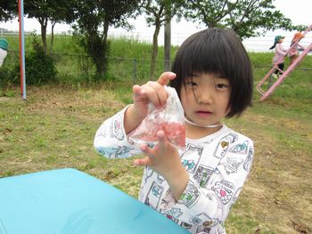 色水遊びの様子