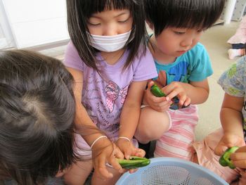 種取りの様子