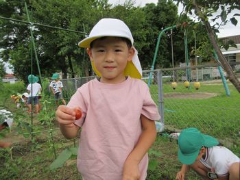 トマトを採った様子