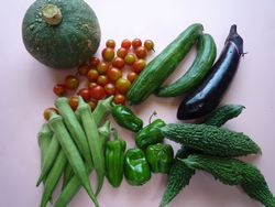 夏野菜