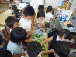 ピーマンの種取りをする様子
