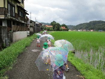 傘でお散歩