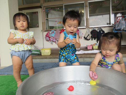 はと組