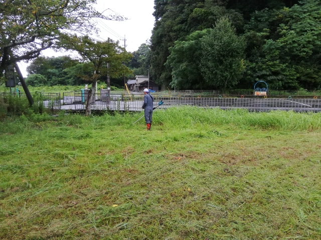 写真１