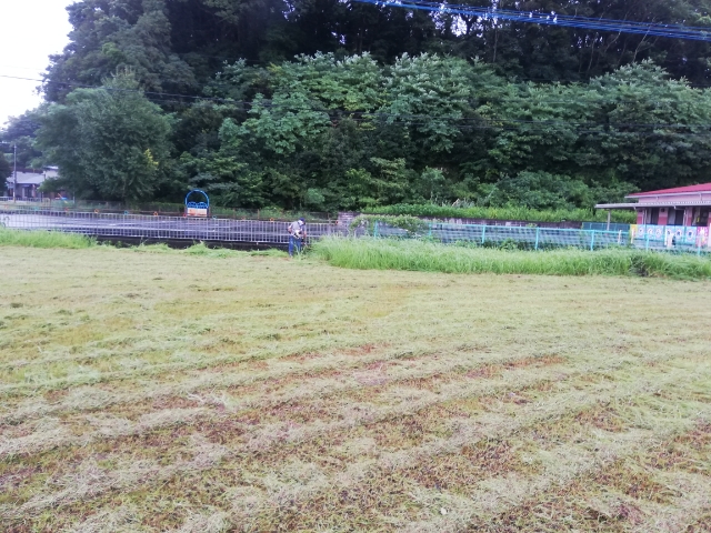 写真２
