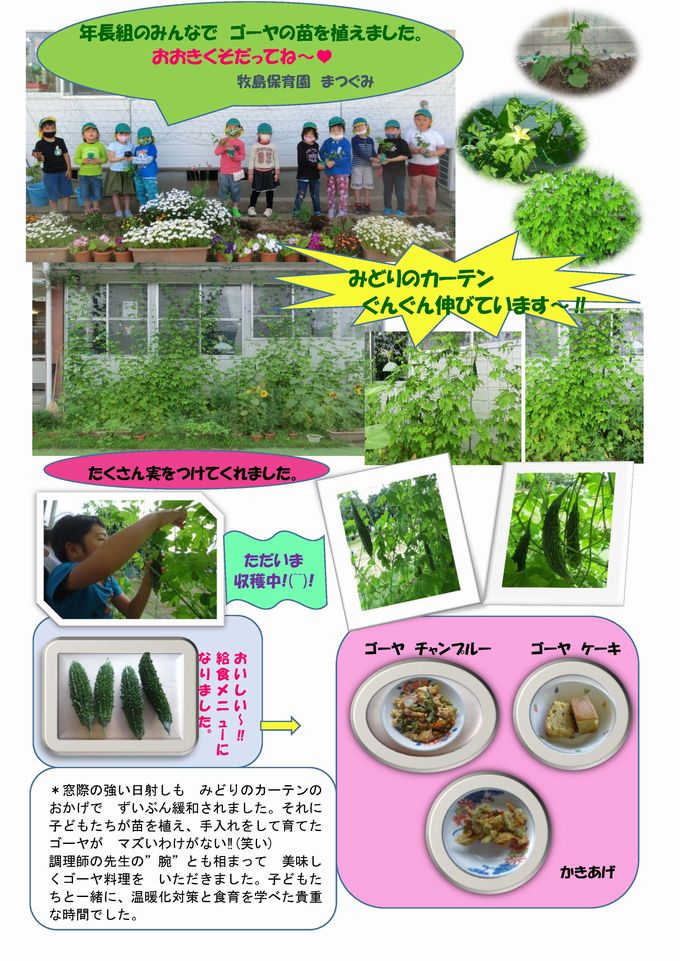 みどりのカーテン