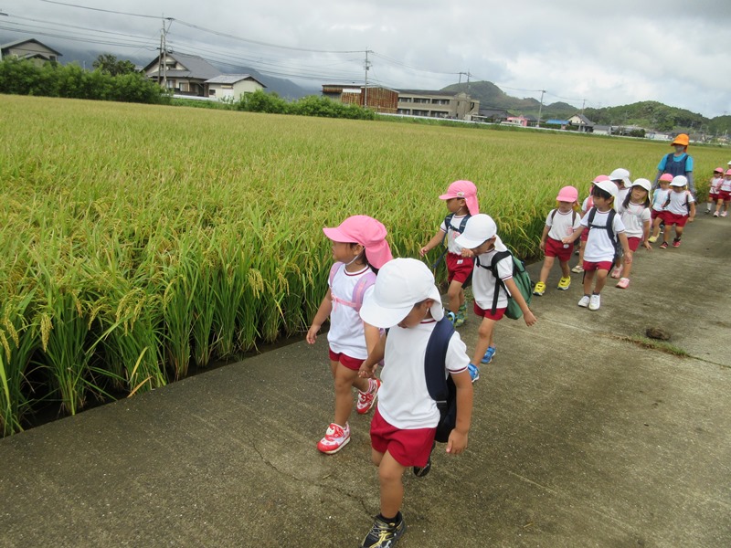 田んぼ道を歩く様子