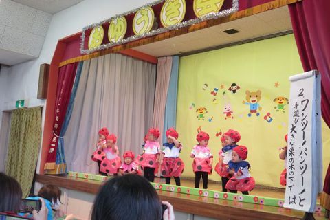 はと組さん