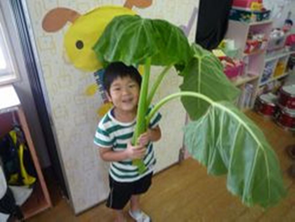 子どもの様子