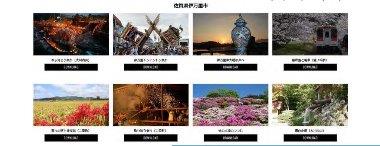 ponycanyon