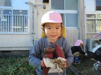 いもほり
