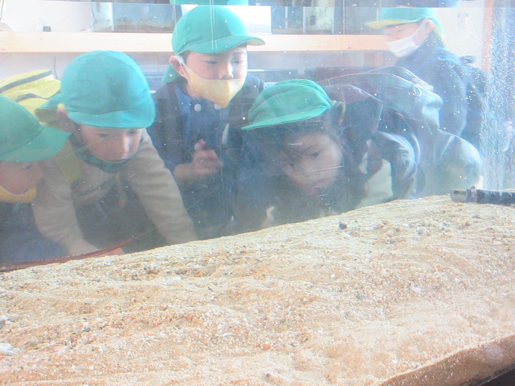 子どもの様子