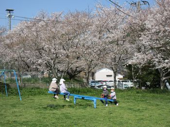 かめ公園