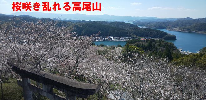 高尾山