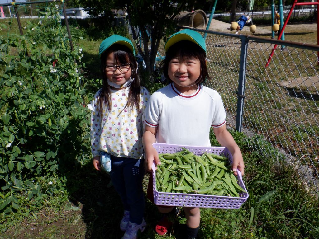 子どもの様子