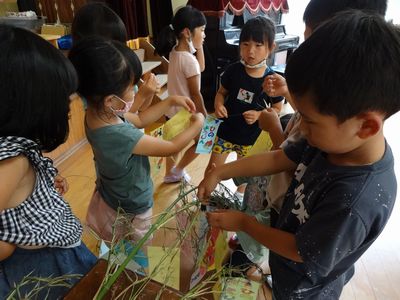 7月様子４