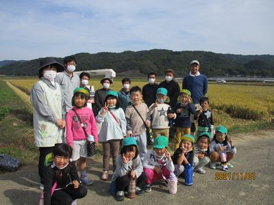 11月1