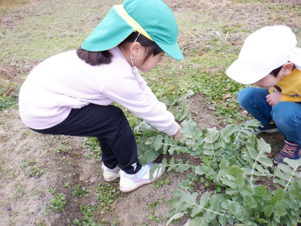 子どもの様子