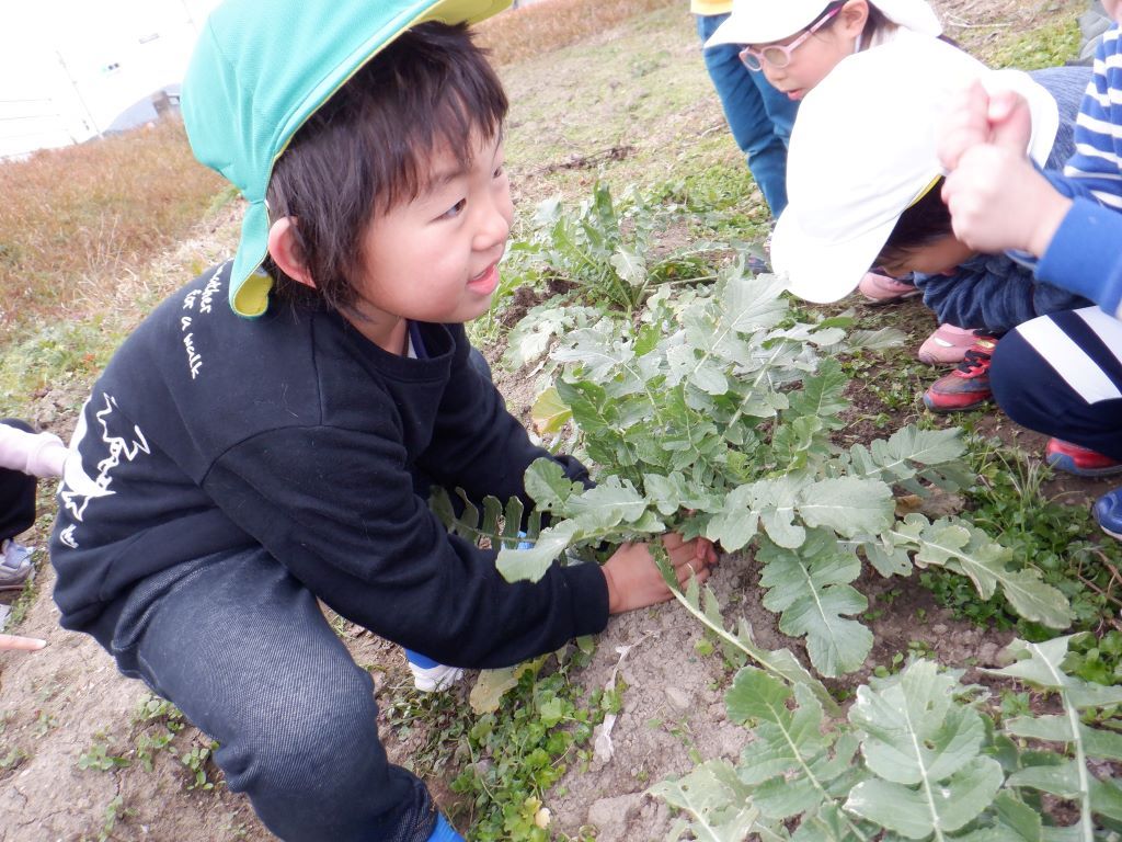 子どもの様子