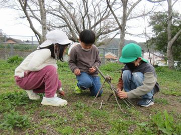かめ公園2