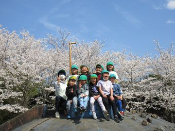 お花見2