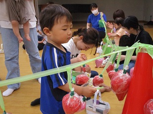 イチゴを摘んでいる男の子