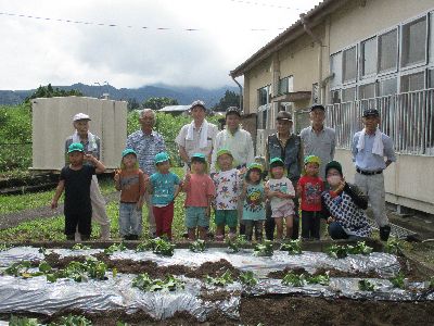 芋苗植え３