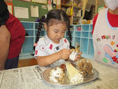 きのこさき2