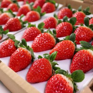 01_JA伊万里