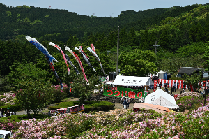 つつじ祭り写真
