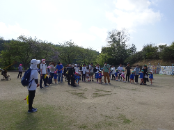 集合している様子