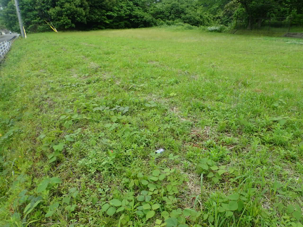 立花町市有地(2)