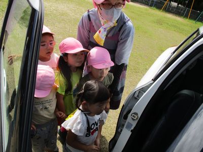 パトカーのなかをみせてもらいました。もも組さんです。