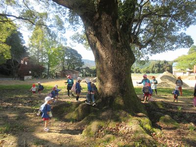 大きな木の下で