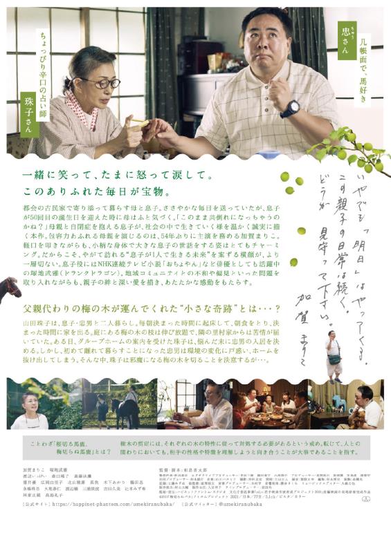 梅切らぬバカ（裏）