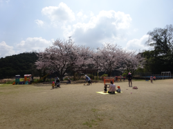 外遊び