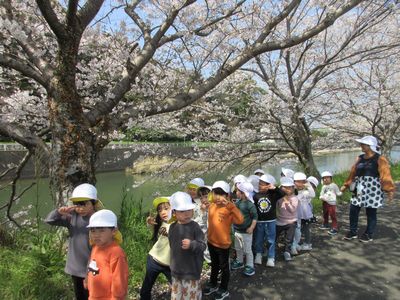 4月の様子1
