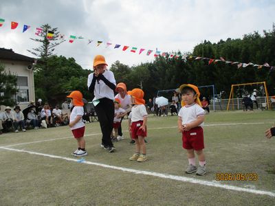 ばら、はと組さん