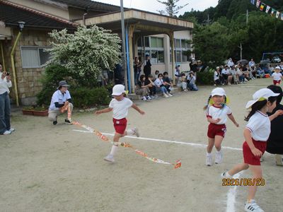 ゆり組さん
