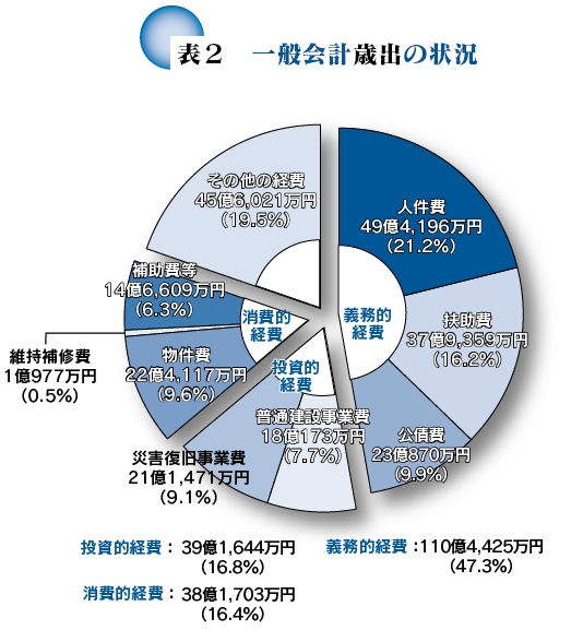 一般会計歳出の状況