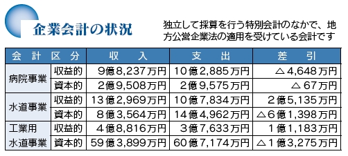 企業会計の状況