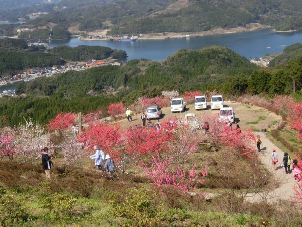 あぐり山の風景