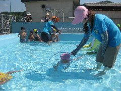 水泳大会3