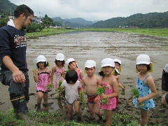 田植えの写真