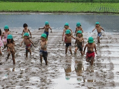 田植えの写真