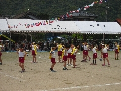 運動会の写真